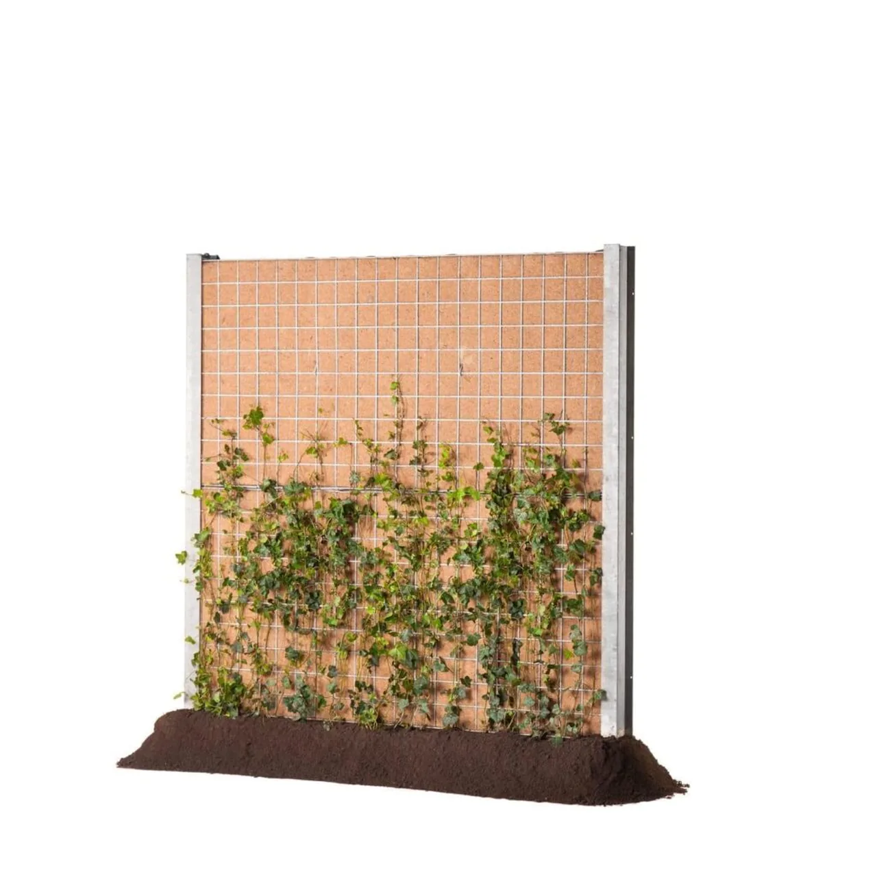 Greenwall Cassette geluidsscherm met groene begroeiing in een stedelijke omgeving