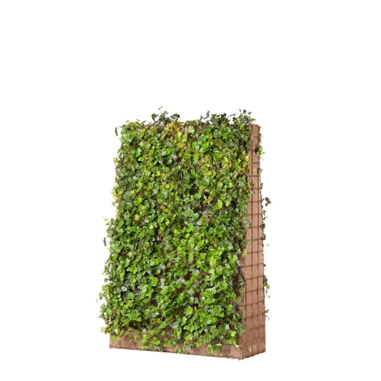 Greenwall Classic geluidsscherm met natuurlijke groene begroeiing langs een weg